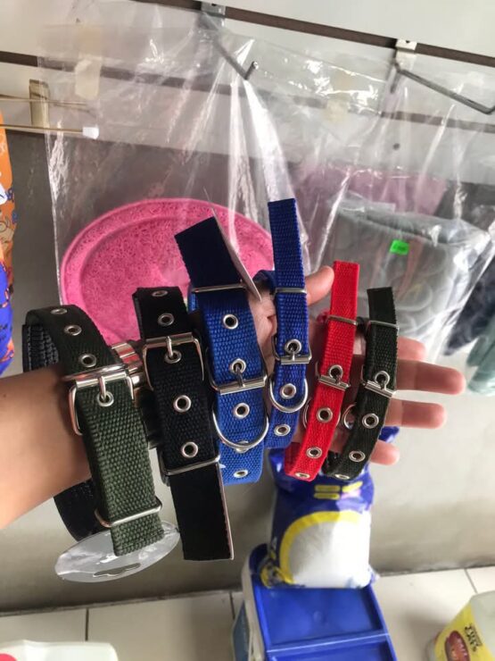 Collares Pequeños para Perro - Imagen 2