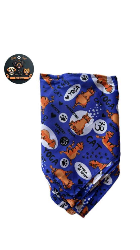 Bandana 2