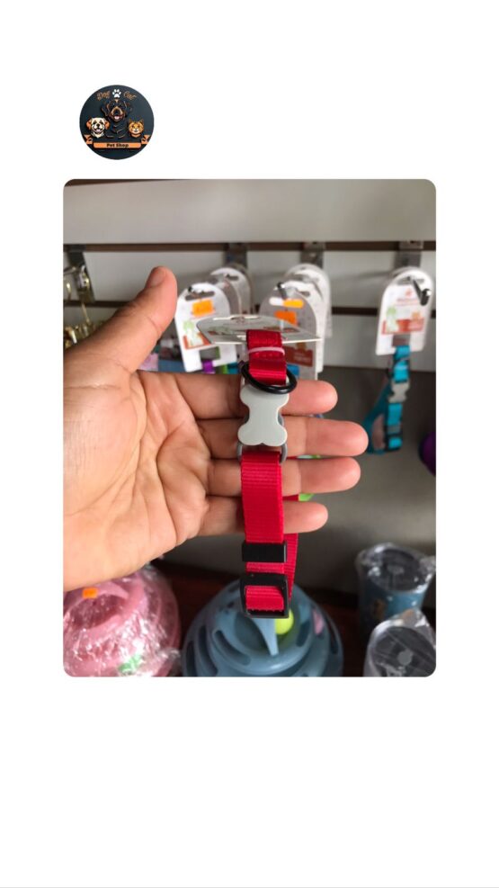 Collar de Colores Degradado Pequeño