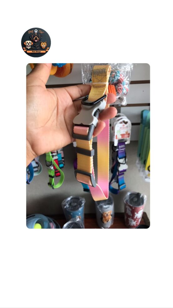Collar de Colores Desgradado
