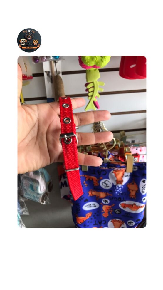 Collares Pequeños para Perro