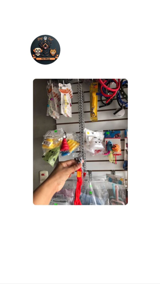 Correa Metalica para Perros