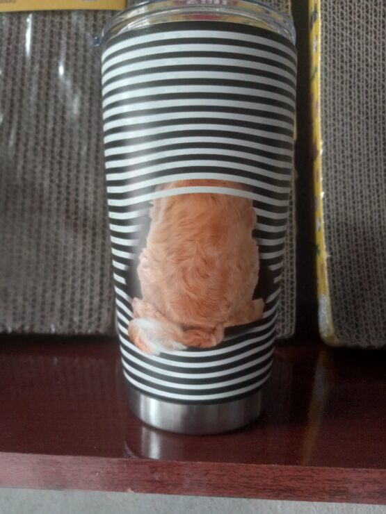 Vaso Térmico Perro con Rayas - Imagen 3