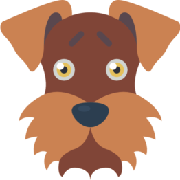 Alimentos para Perros