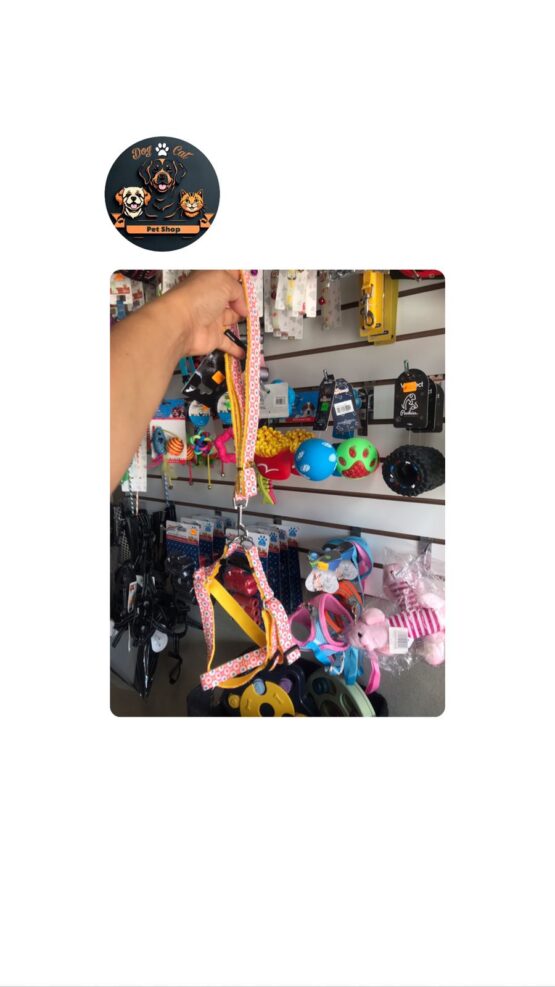 Pecheraa de Colores para Mascotas Mediana