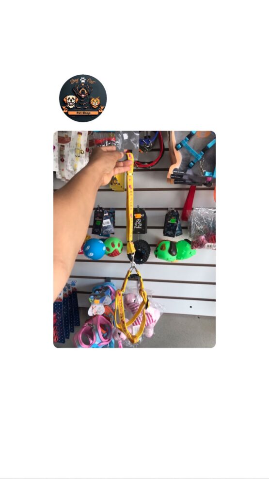 Pecheraa de Colores para Mascotas Pequeñas