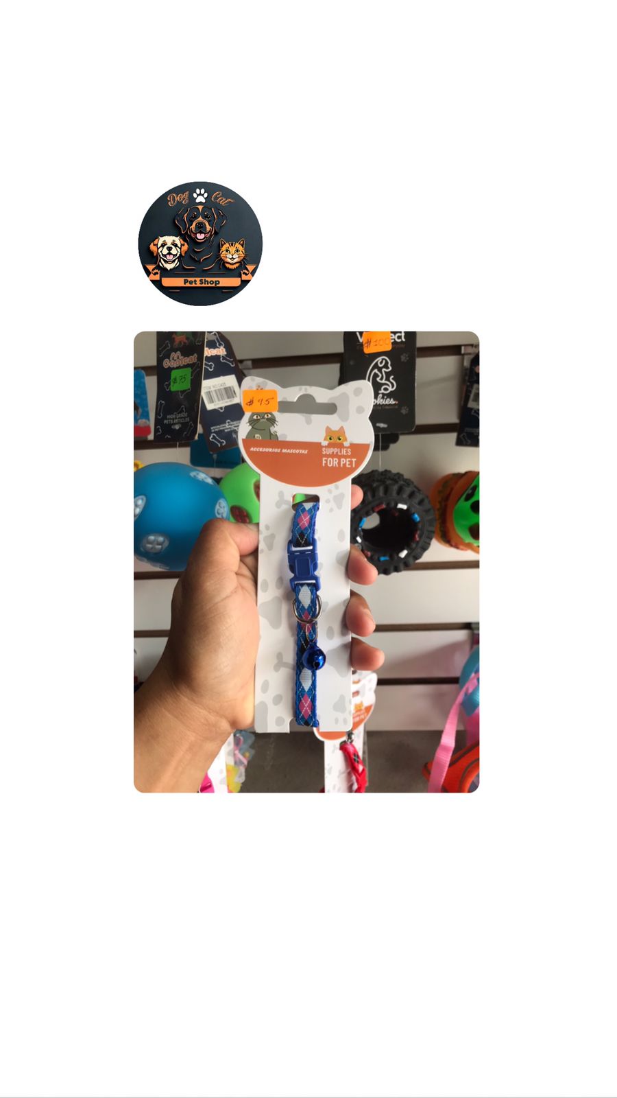 2025/07/1001314654.jpg