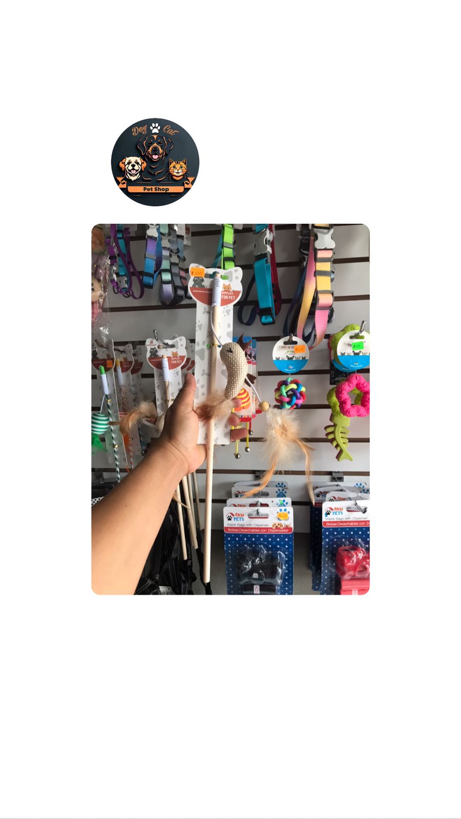 2025/07/1001314656.jpg