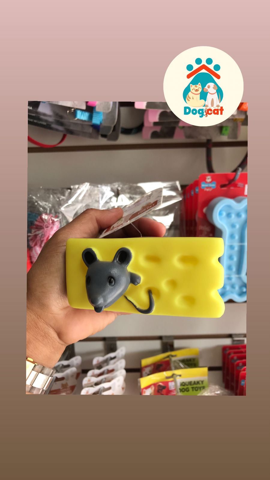 queson-con-raton.jpg queson-con-raton.jpg