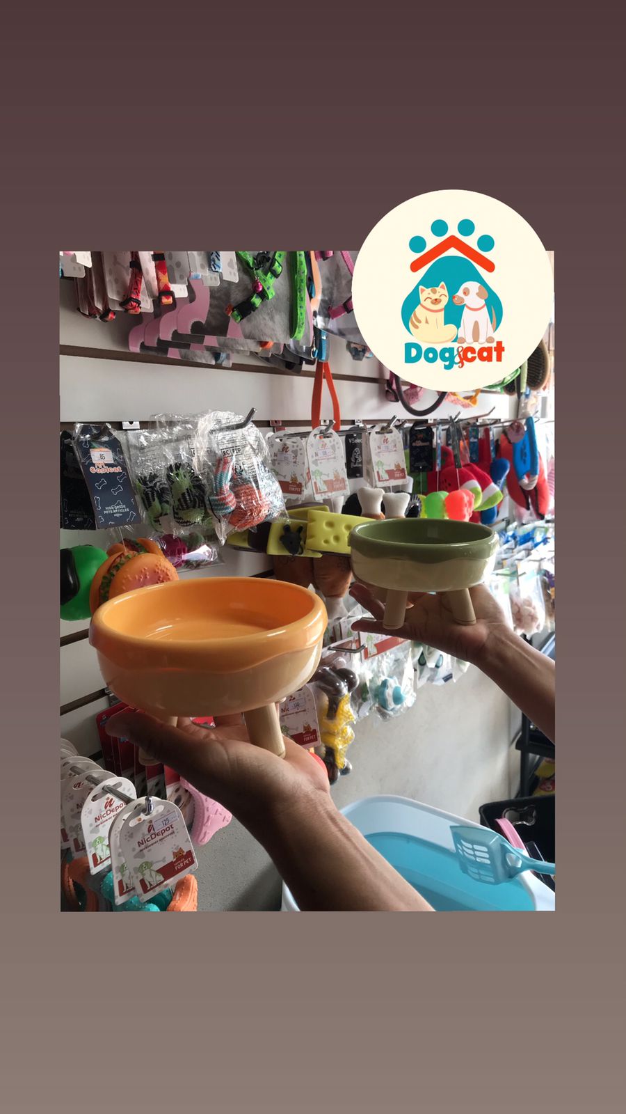 Bolw-Perro.jpg Bolw-Perro.jpg