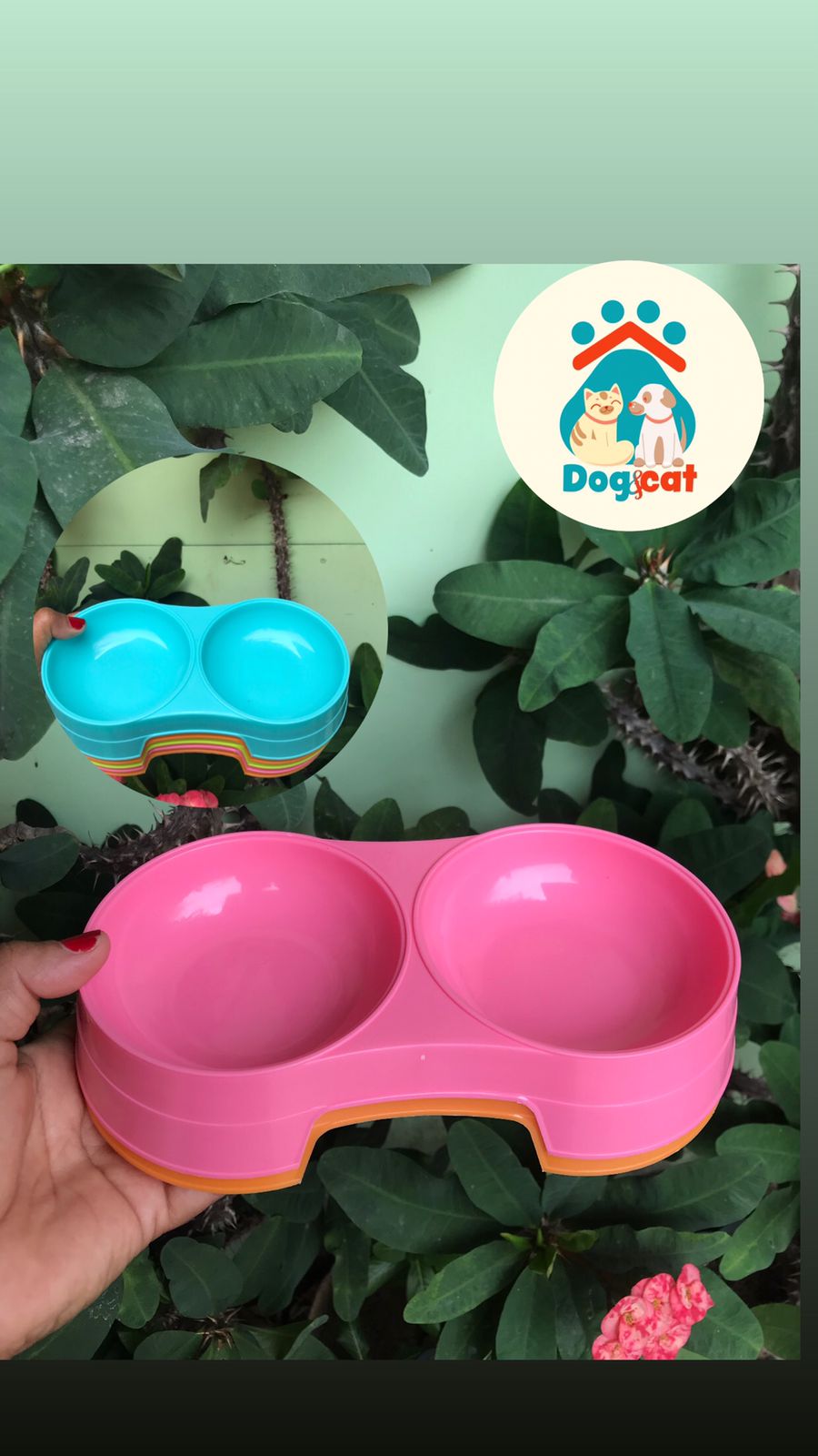 tazones-de-gatos-doble.jpg tazones-de-gatos-doble.jpg