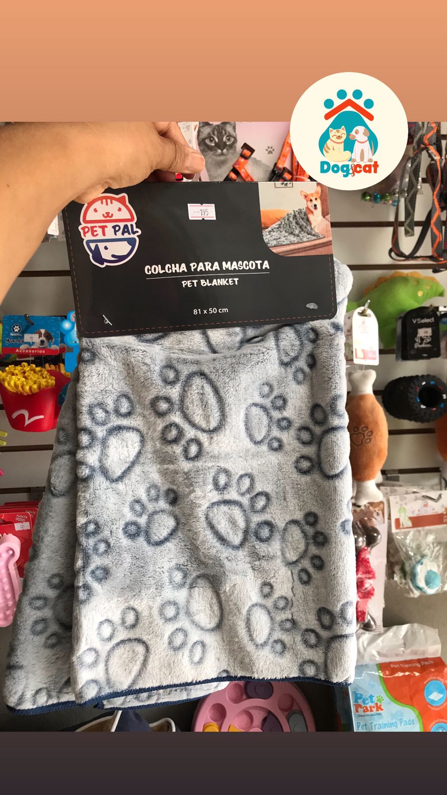 Imagen-de-WhatsApp-2025-10-24-a-las-15.49.46_42519261.jpg Imagen-de-WhatsApp-2025-10-24-a-las-15.49.46_42519261.jpg