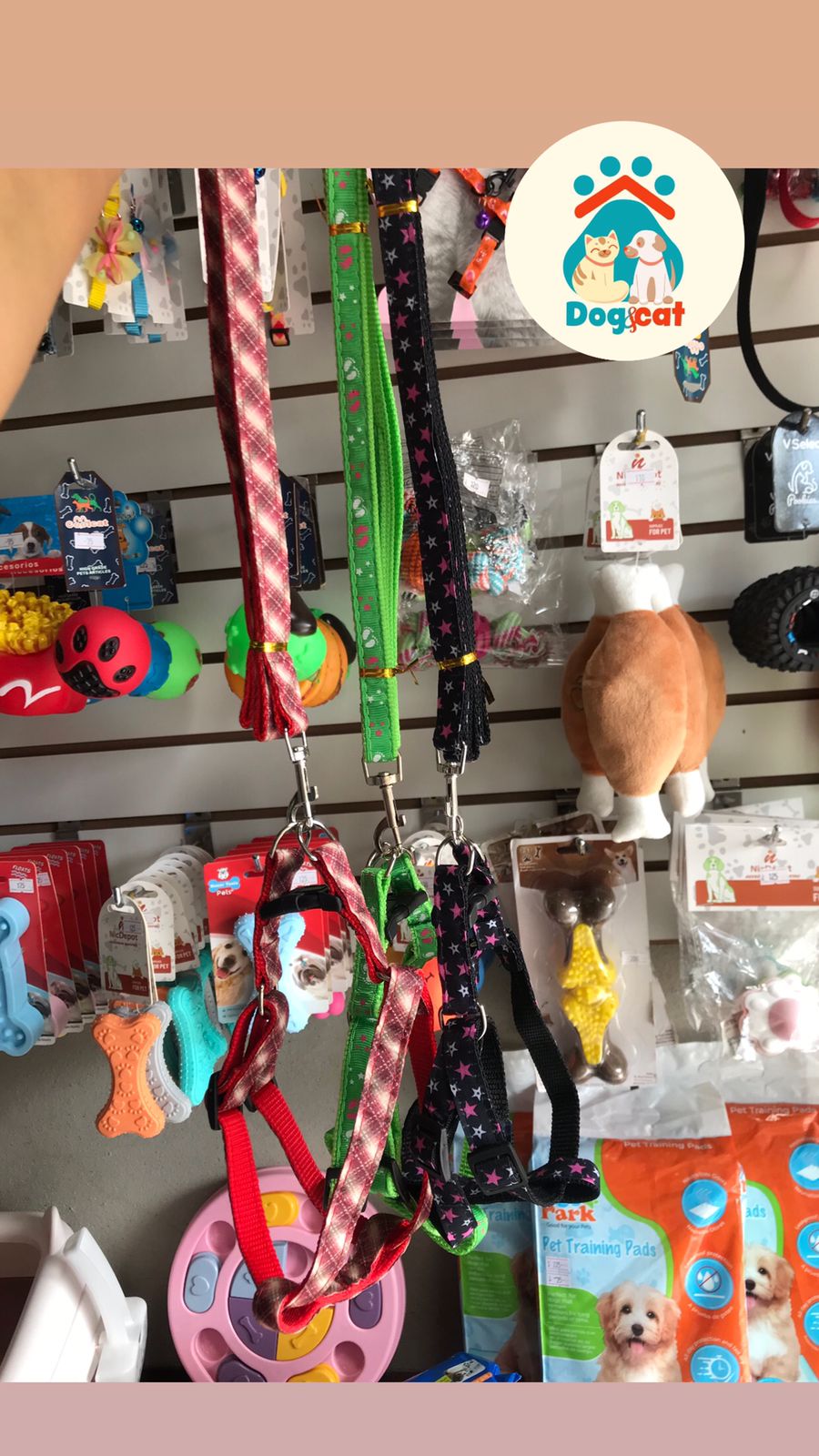 Pechera-mediana-con-colores-y-dibujos.jpg Pechera-mediana-con-colores-y-dibujos.jpg