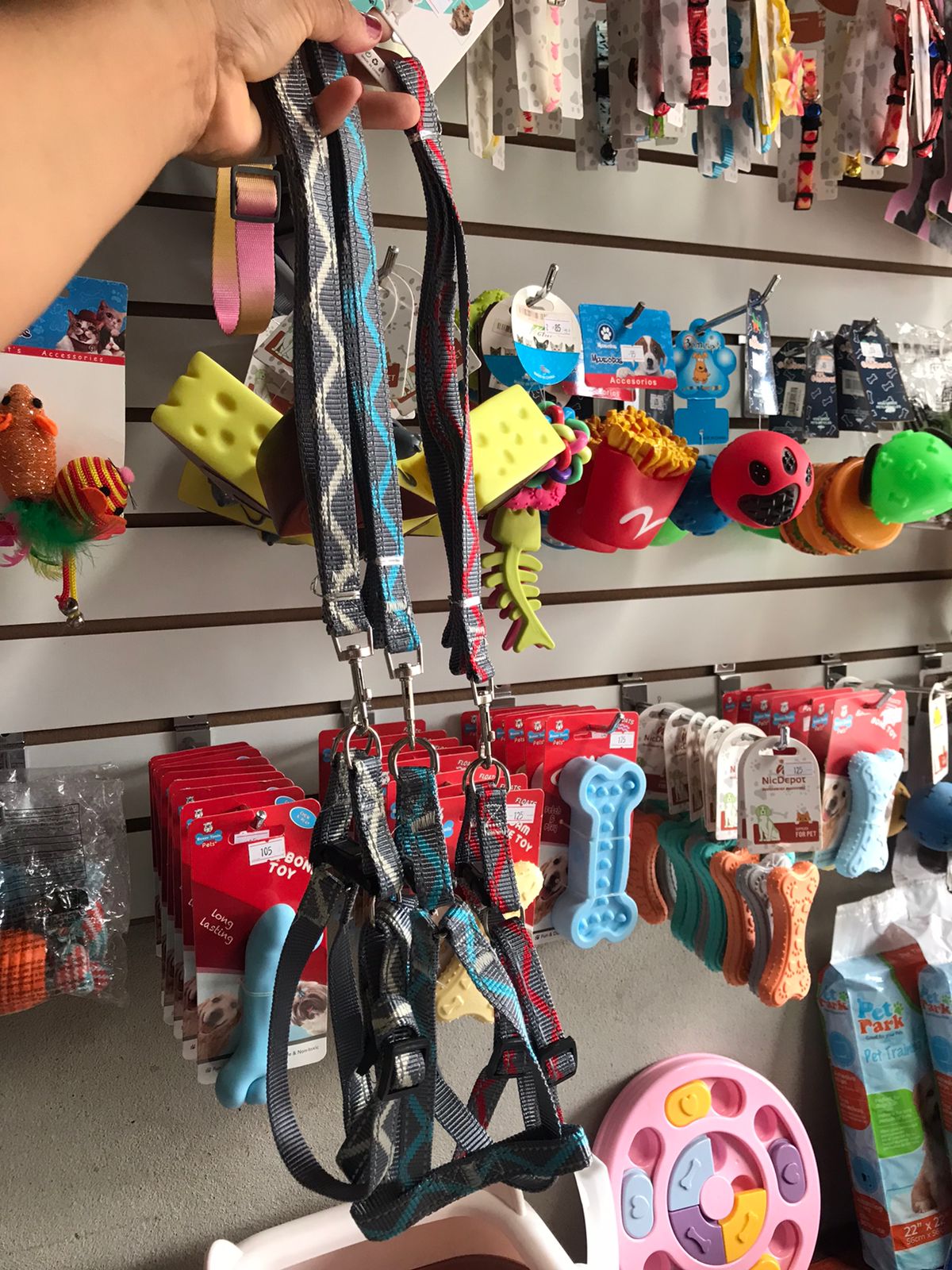 pechera-y-correa-de-160.jpg pechera-y-correa-de-160.jpg