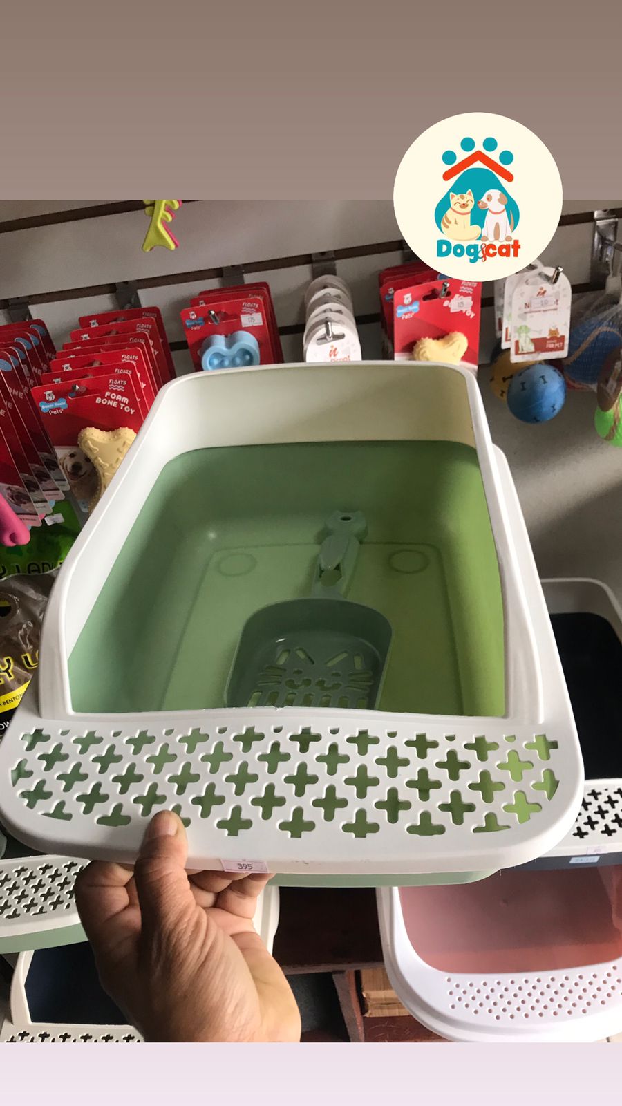 Renero-pequeno.jpg Renero-pequeno.jpg