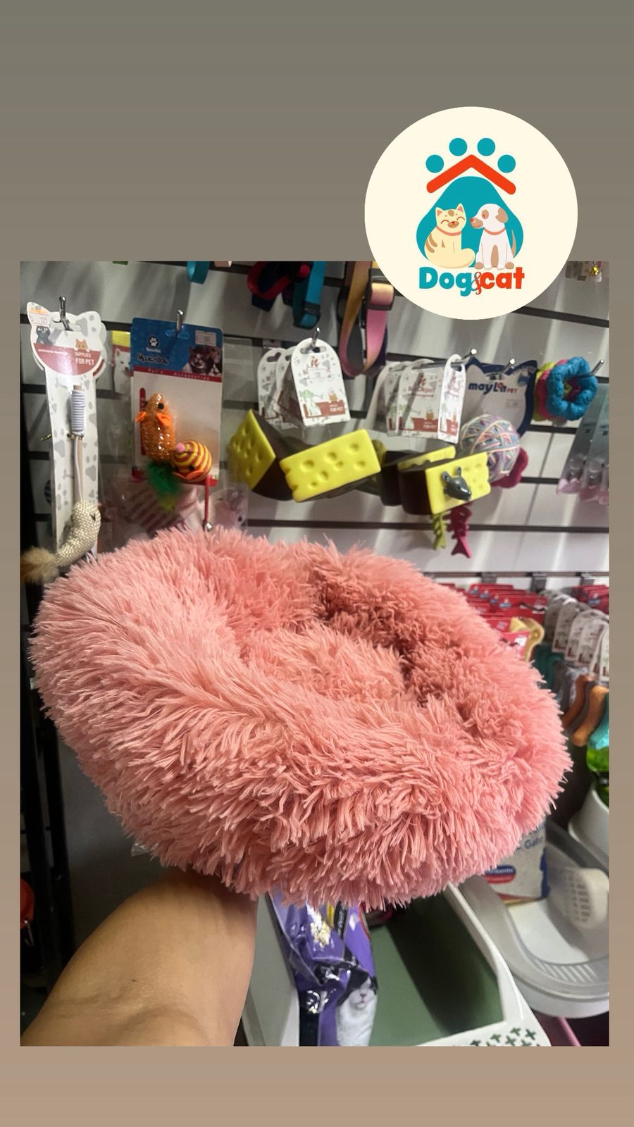 WhatsApp-Image-1.jpeg WhatsApp-Image-1.jpeg