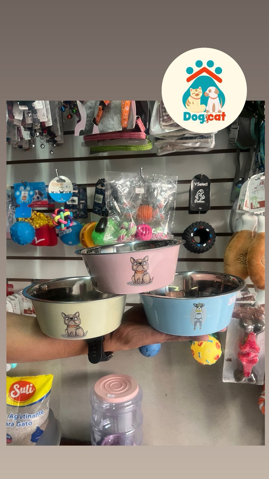 WhatsApp-Image-2026-02-11-at-5.46.39-PM.jpeg WhatsApp-Image-2026-02-11-at-5.46.39-PM.jpeg