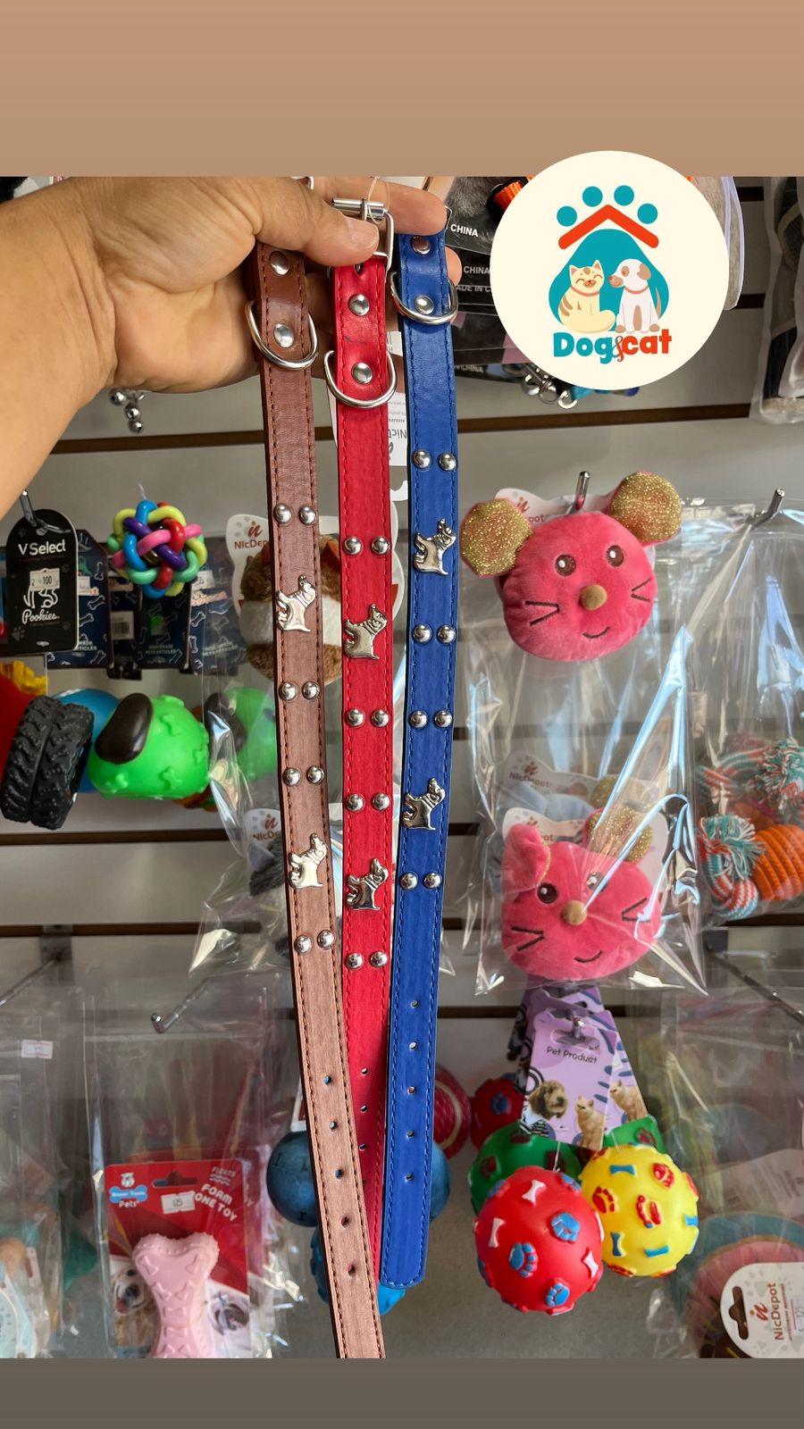 collar.jpeg collar.jpeg