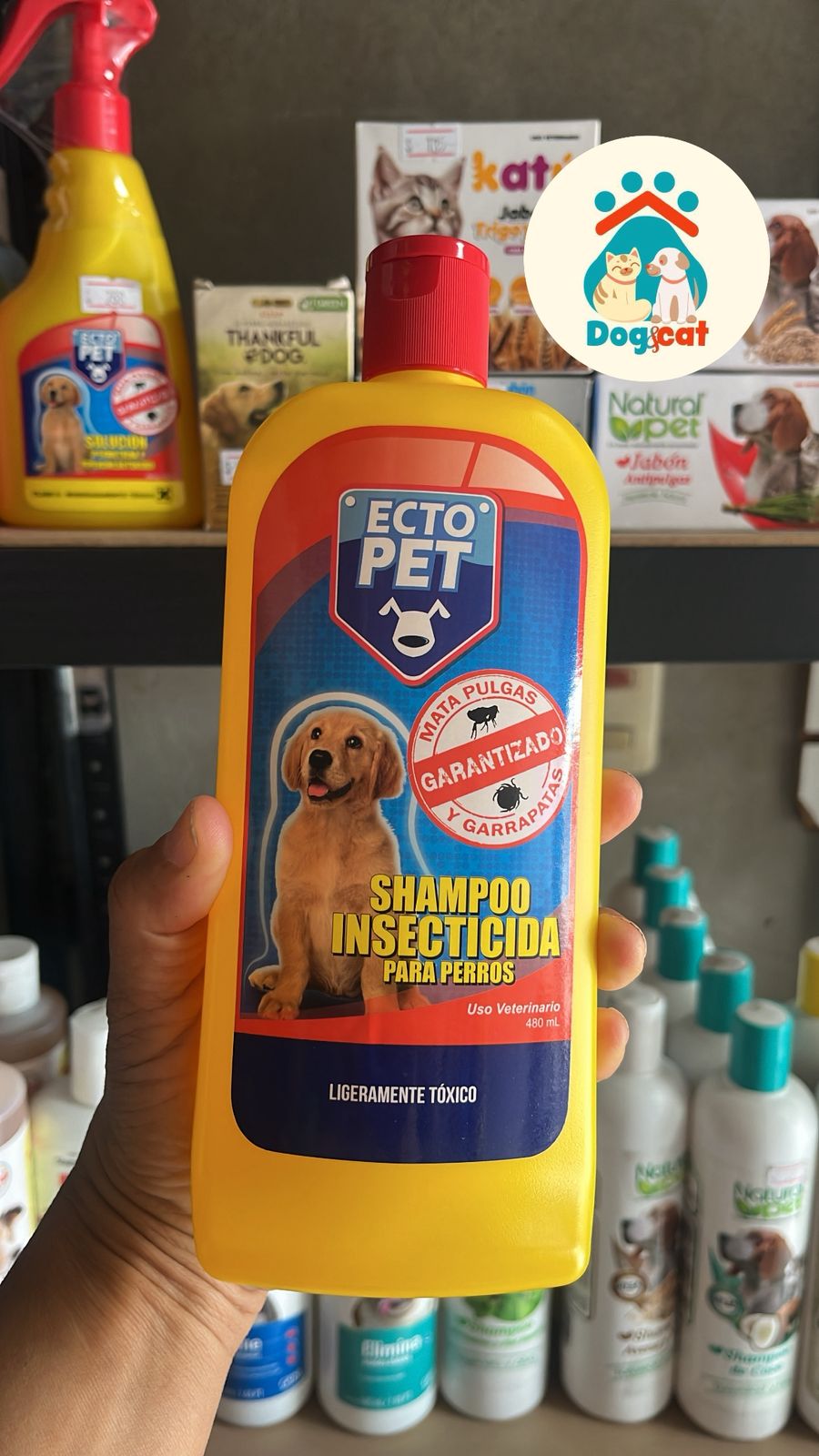 Shampoo.jpeg
